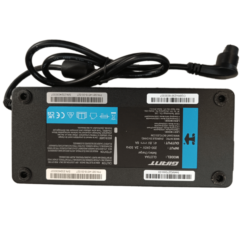 Giant Smart Charger Energypak L-Type G-System 36V 6A